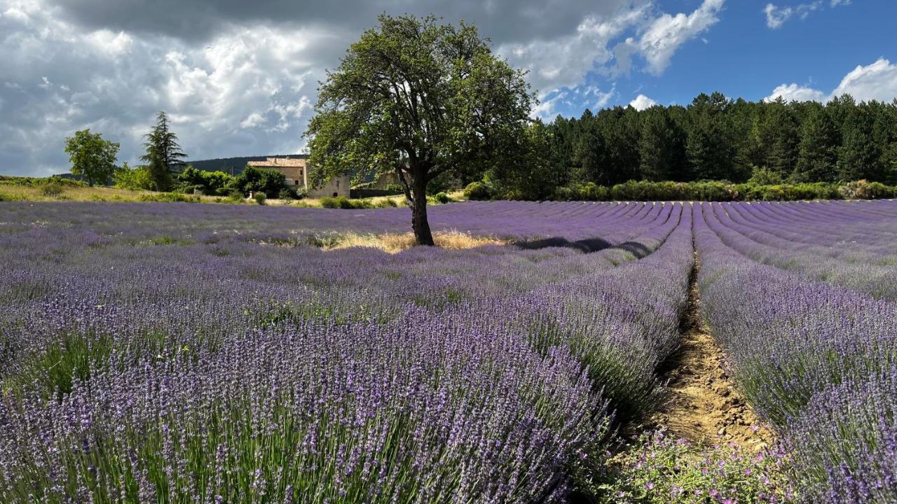 Santolines En Provence Bed & Breakfast Piolenc Luaran gambar