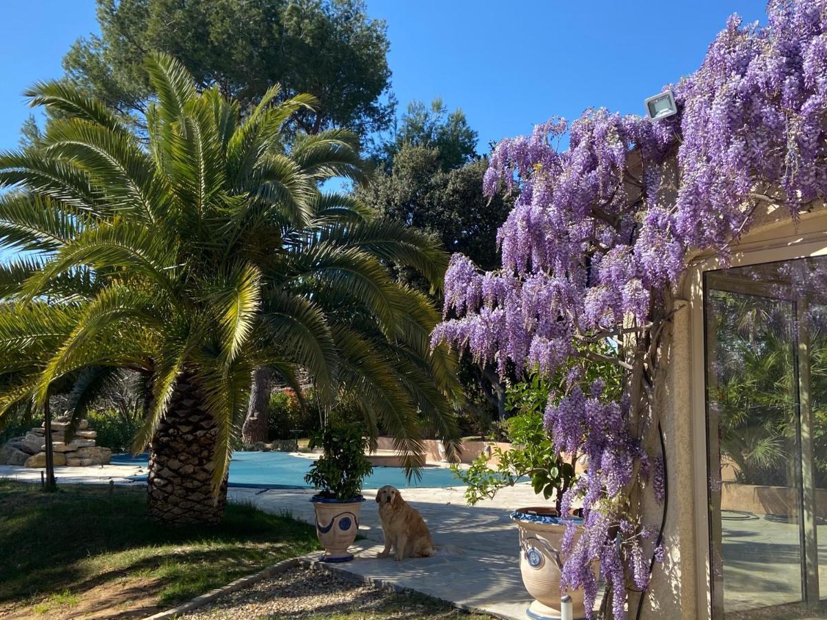 Santolines En Provence Bed & Breakfast Piolenc Luaran gambar