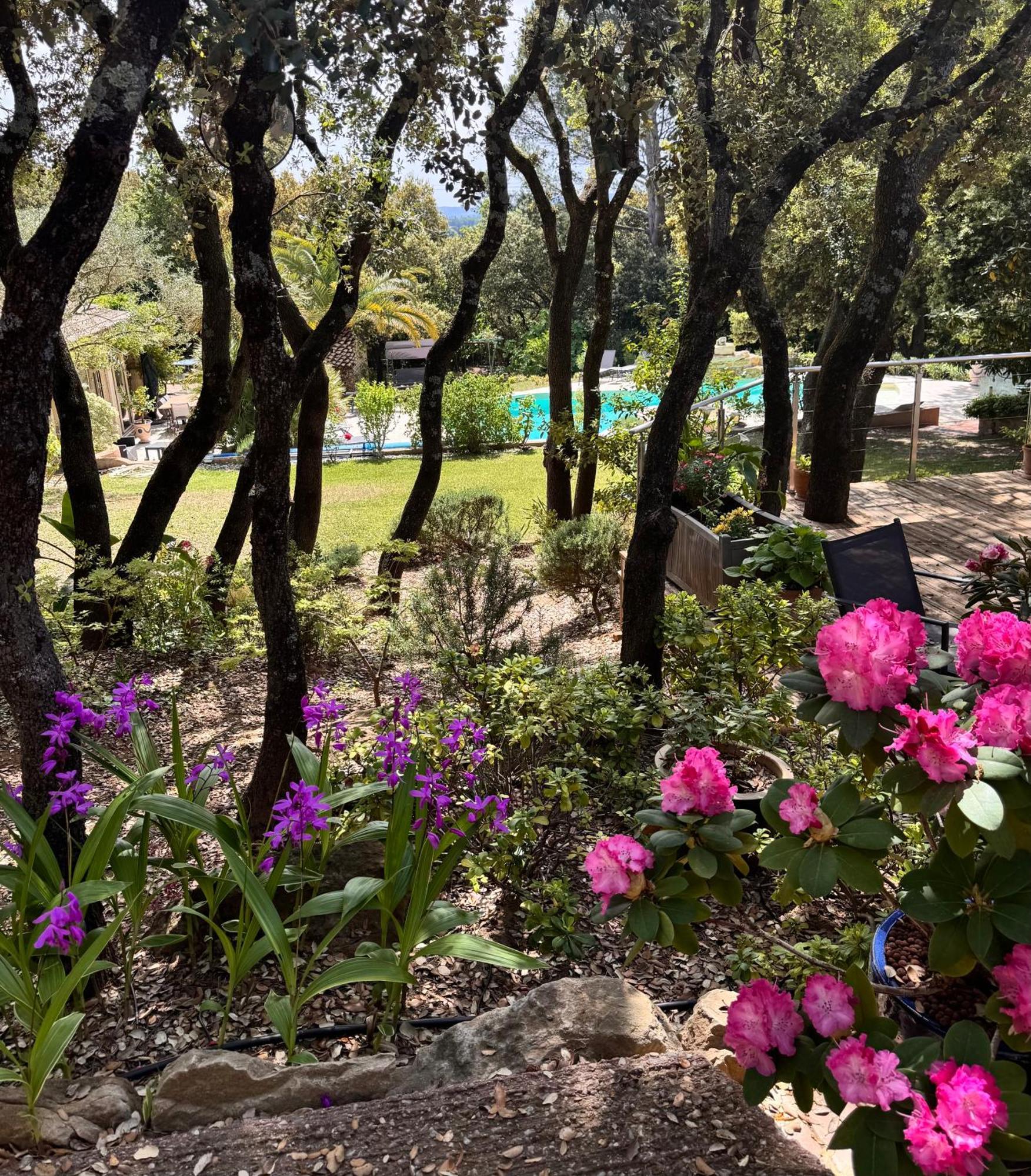 Santolines En Provence Bed & Breakfast Piolenc Luaran gambar